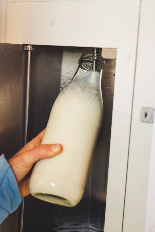Filling